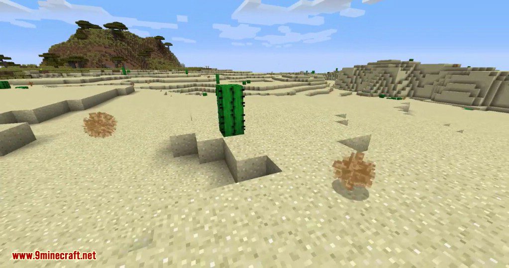 Tumbleweed Mod (1.19.3, 1.18.2) - Russian's Thistle in Minecraft 8