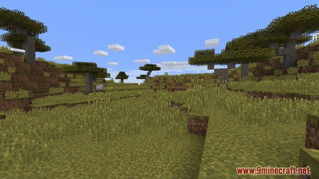 The Insane Man Map 1.12.2, 1.11.2 for Minecraft 5