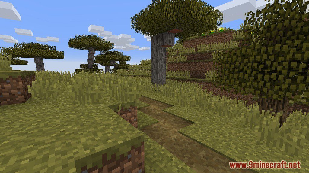 The Insane Man Map 1.12.2, 1.11.2 for Minecraft 6