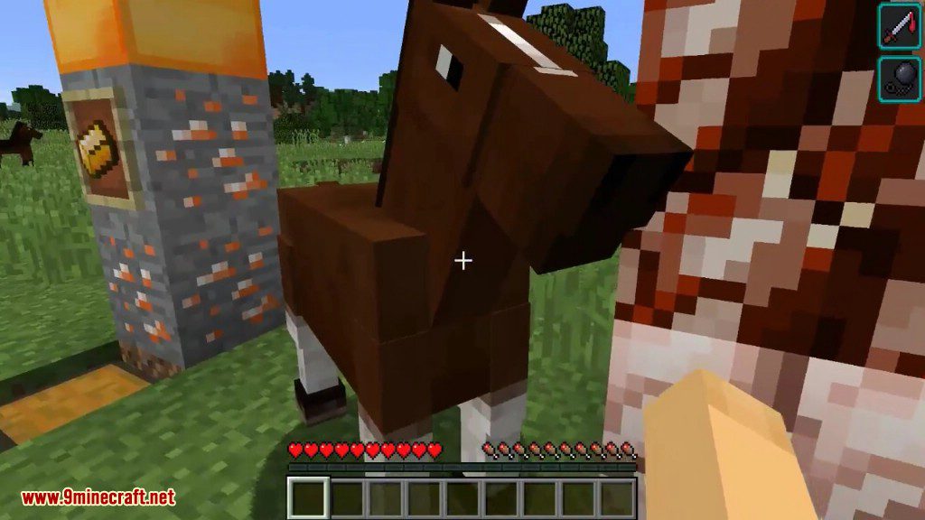 The Meat Mod 1.11.2, 1.8.9 (You are a Disgusting Human) 11