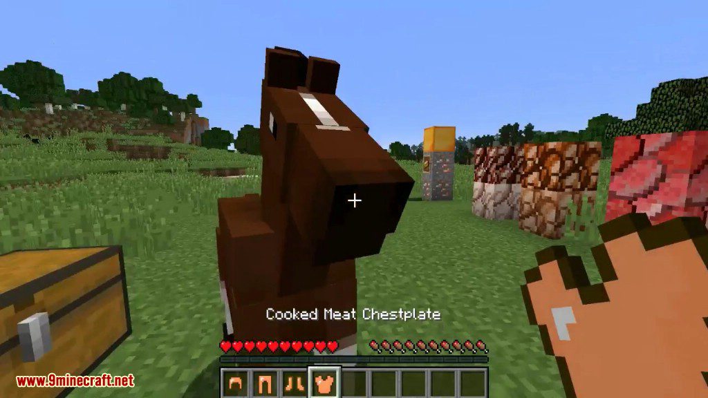 The Meat Mod 1.11.2, 1.8.9 (You are a Disgusting Human) 14