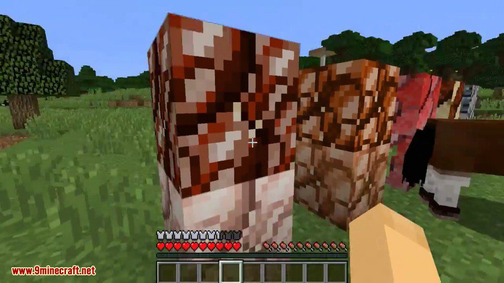 The Meat Mod 1.11.2, 1.8.9 (You are a Disgusting Human) 15