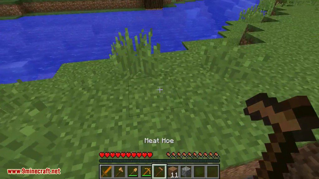 The Meat Mod 1.11.2, 1.8.9 (You are a Disgusting Human) 10