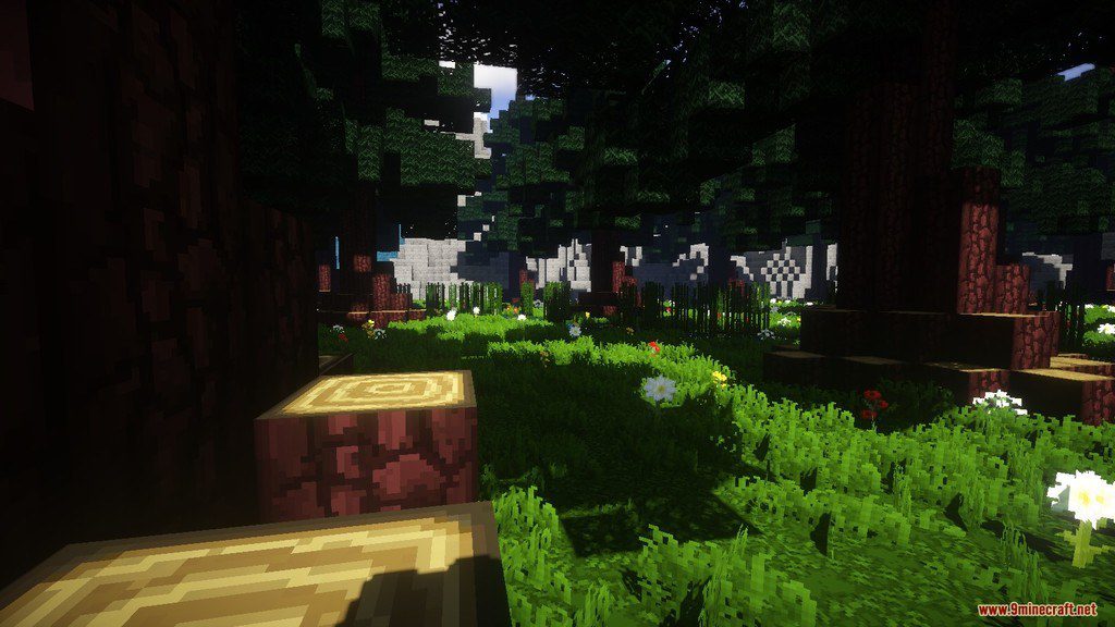 BaryDoku Remix Resource Pack 1.12.2, 1.11.2 8