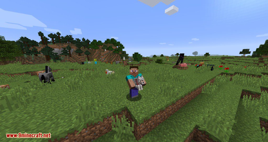 Carry On Mod (1.20.4, 1.19.4) - Pick Up Blocks, Mobs in Your Hand 4