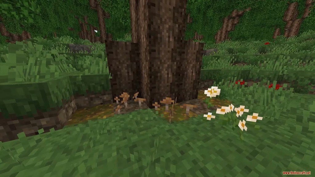 Beyond The Lands Resource Pack (1.16.5, 1.15.2) - Texture Pack 3