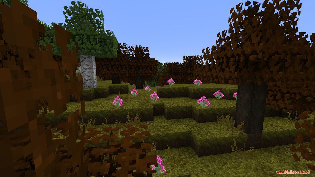 RangerCraft Autumn Resource Pack 1.12.2, 1.11.2 5