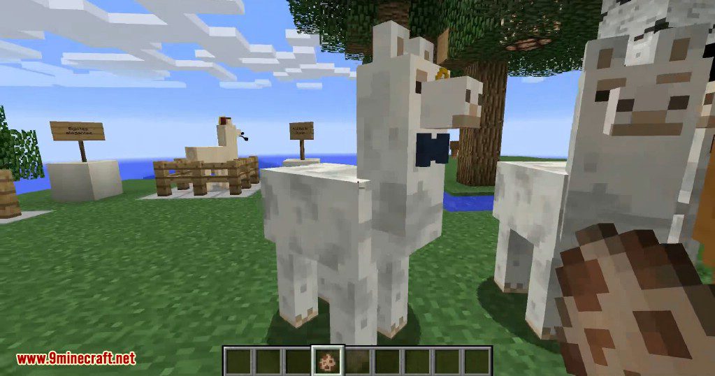 Better Than Llamas Mod (1.20.4, 1.19.4) - Dapper Llamas 6