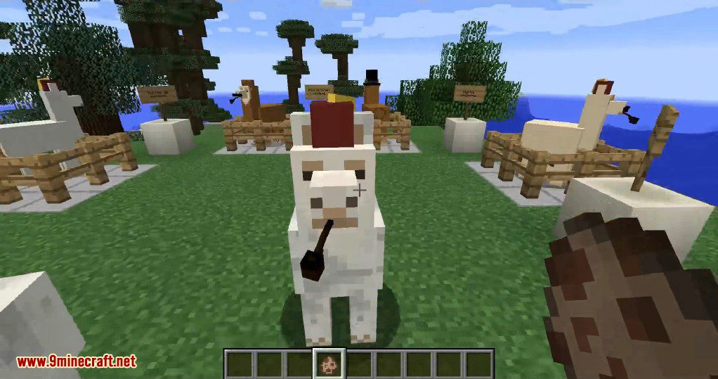 Better Than Llamas Mod (1.20.4, 1.19.4) - Dapper Llamas 7