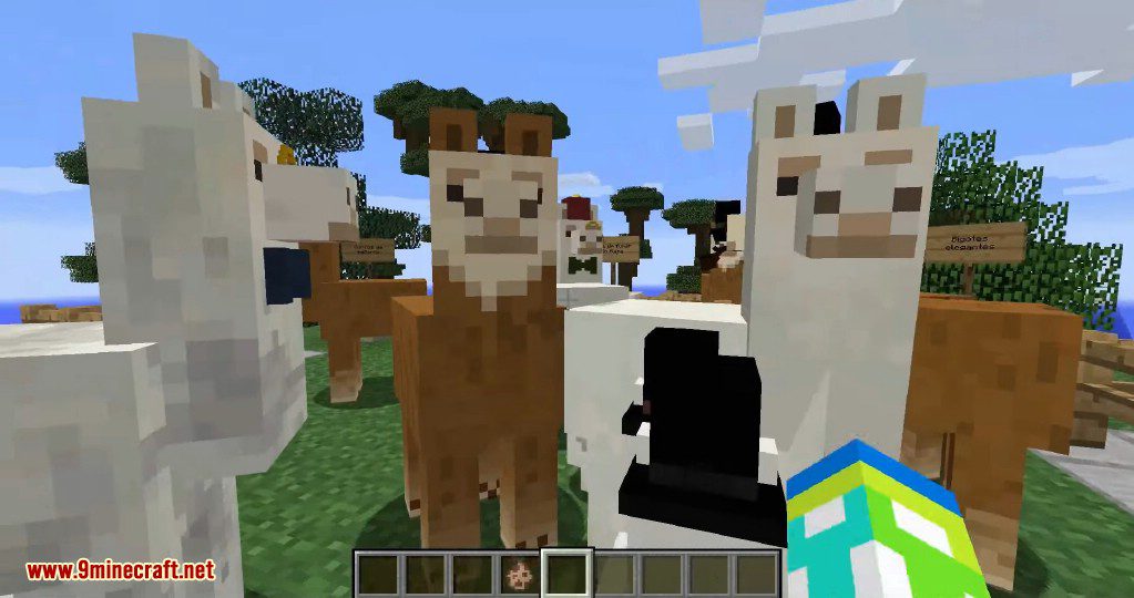 Better Than Llamas Mod (1.20.4, 1.19.4) - Dapper Llamas 10