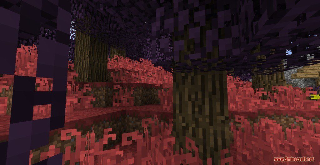 Elderwood Majesty Resource Pack 1.12.2, 1.11.2 6