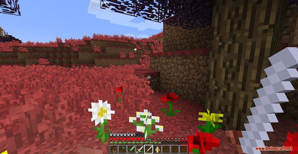 Elderwood Majesty Resource Pack 1.12.2, 1.11.2 9