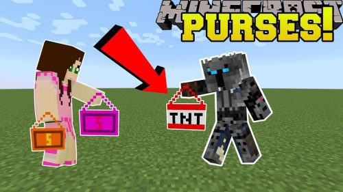 Hostile Purses Mod 1.11.2 (Smack People, Blow up Blocks) Thumbnail