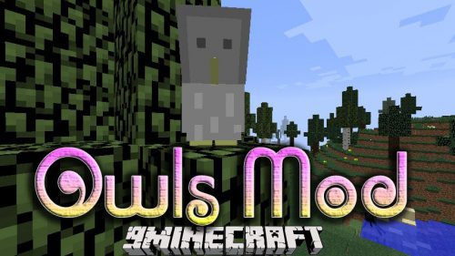 Owls Mod 1.12.2 (How to Tame Your Owl) Thumbnail