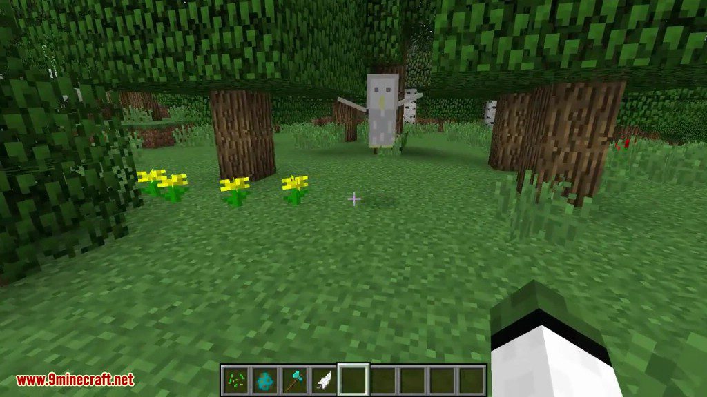 Owls Mod 1.12.2 (How to Tame Your Owl) 5