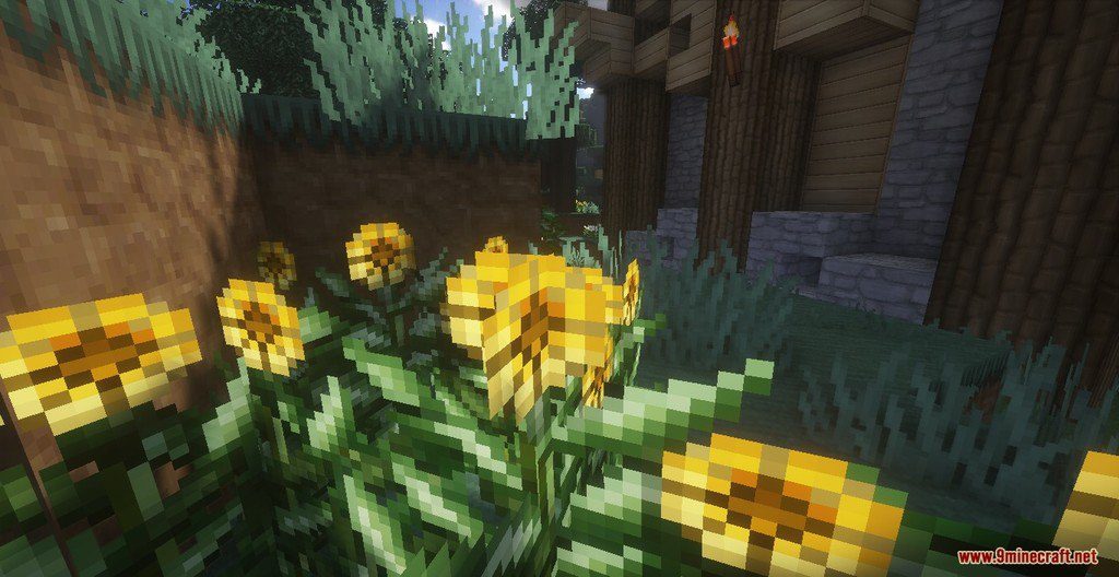 Soartex Fanver Resource Pack (1.16.5, 1.15.2) - Texture Pack 5