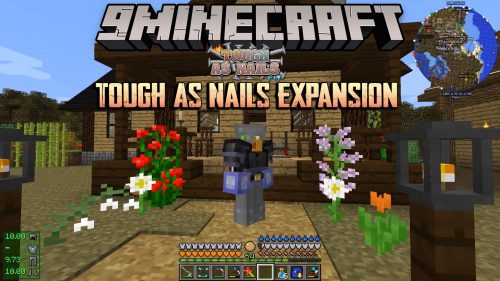 Tough As Nails Expansion Mod (1.12.2, 1.11.2) – RF Items and Blocks Thumbnail