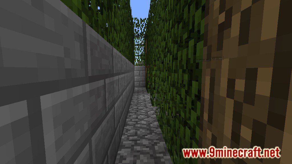 Living Maze Map 1.12.2, 1.12 for Minecraft 13