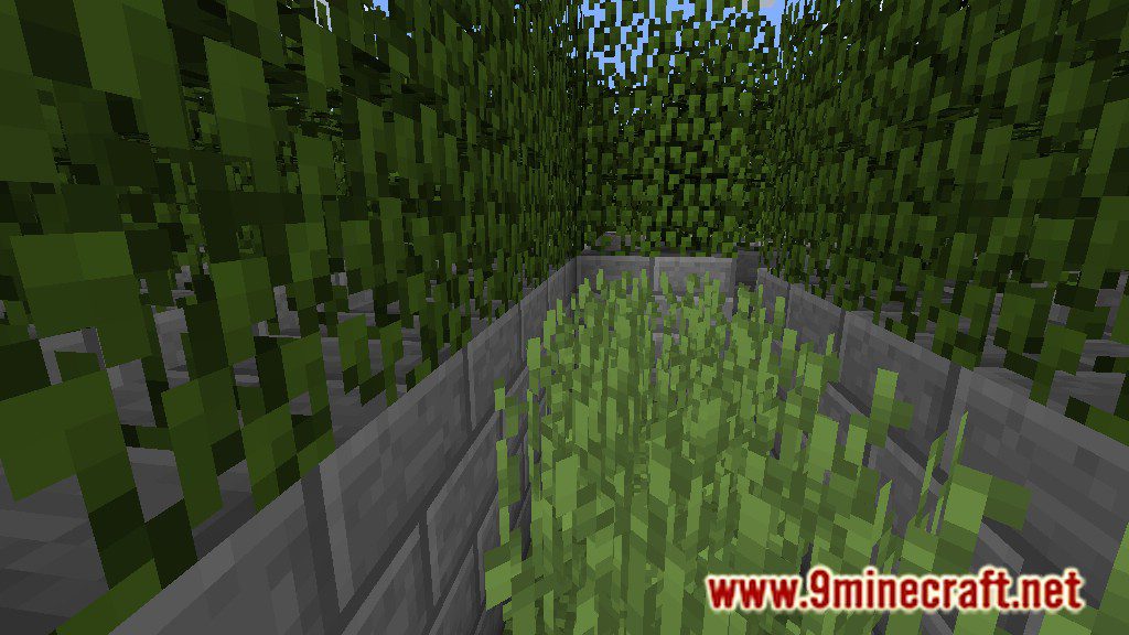 Living Maze Map 1.12.2, 1.12 for Minecraft 10