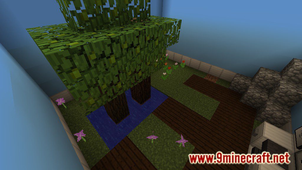 Mastering The Mind Map 1.12.2, 1.12 for Minecraft 4