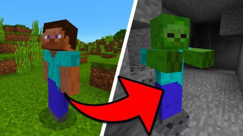 Player Skin Mob Mod 1.12.2 (Add in Mobs with Player Skins) Thumbnail