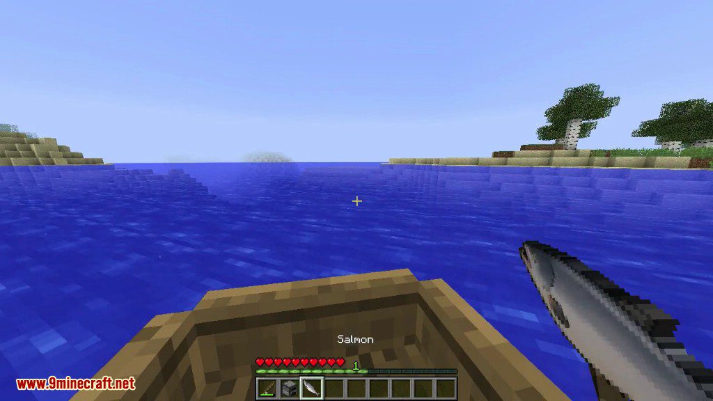 Better Fishing Mod 1.12.2 (More Realistic Fishing) 8