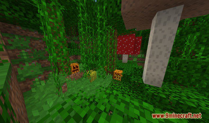 Pixel-8 Resource Pack 1.12.2, 1.11.2 9