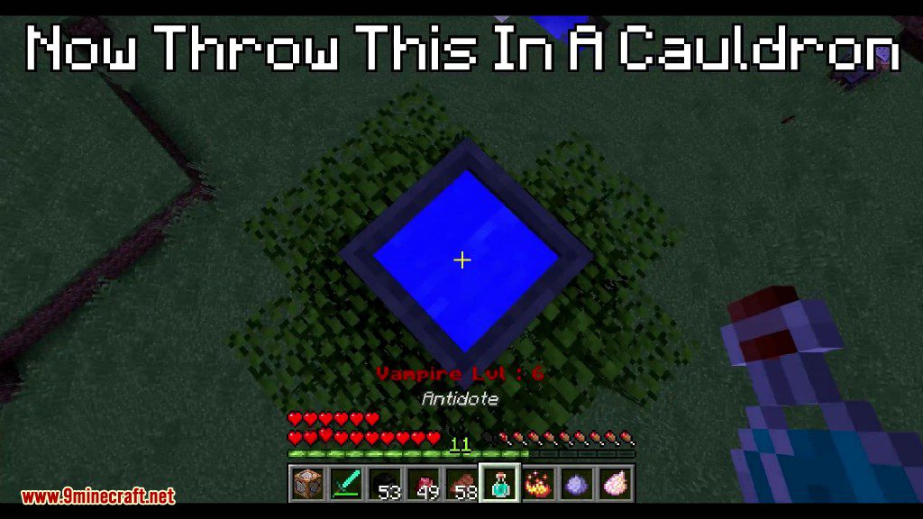 Vampirism Command Block 1.12.2 (Become A Vampire) 37