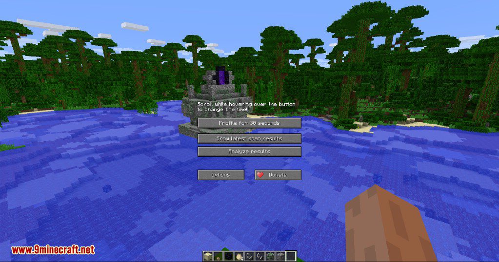 LagGoggles Mod 1.12.2, 1.10.2 (Visualises Lag in The World) 8