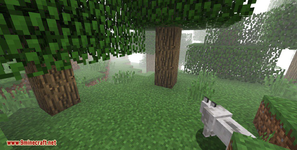 Mist Biomes Mod 1.18.1, 1.12.2 (Fog Covers Biomes) 2