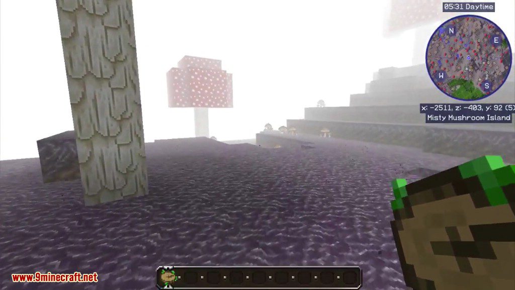 Mist Biomes Mod 1.18.1, 1.12.2 (Fog Covers Biomes) 23