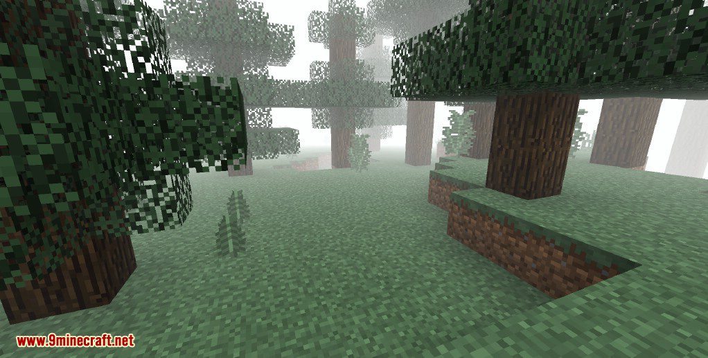 Mist Biomes Mod 1.18.1, 1.12.2 (Fog Covers Biomes) 5