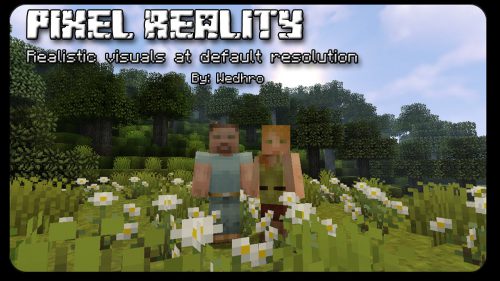 Pixel Reality Resource Pack (1.17.1, 1.16.5) – Texture Pack Thumbnail