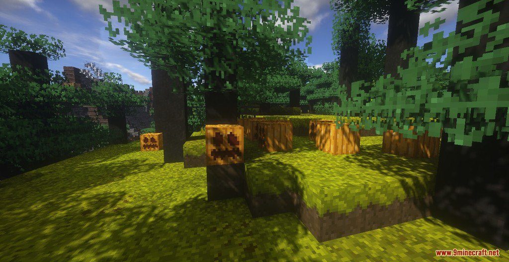 RangerCraft Summer Day Resource Pack 1.12.2, 1.11.2 5