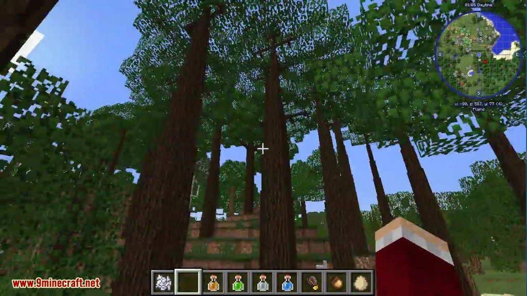 Dynamic Trees Mod (1.20.1, 1.19.2) - Change the Natural Growth of Trees 13