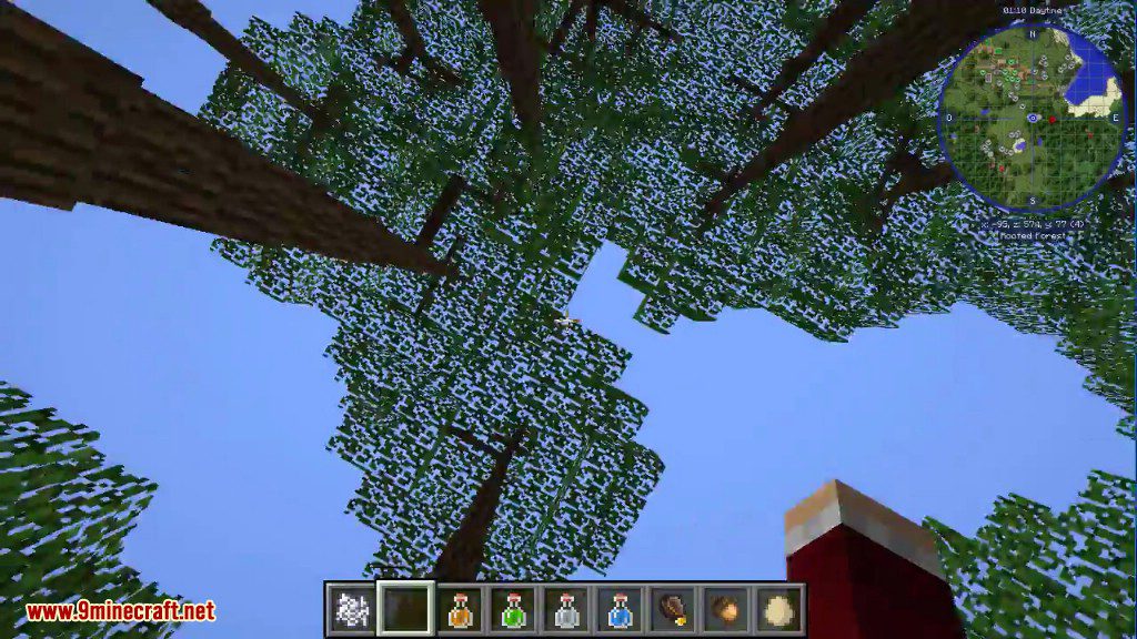 Dynamic Trees Mod (1.20.1, 1.19.2) - Change the Natural Growth of Trees 14