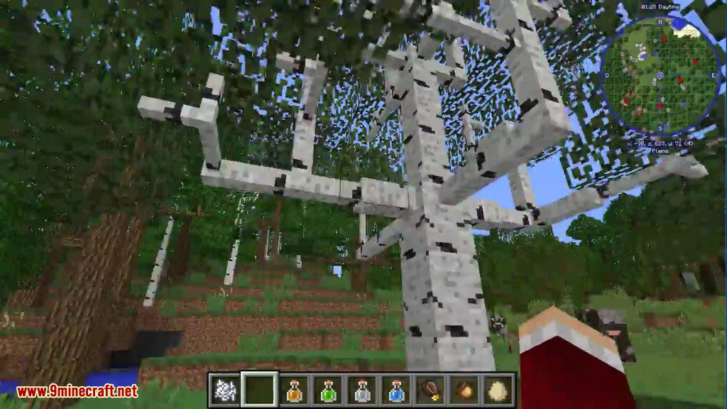 Dynamic Trees Mod (1.20.1, 1.19.2) - Change the Natural Growth of Trees 15