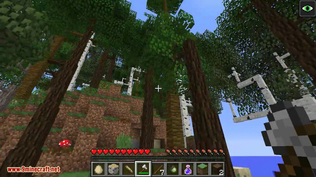 Dynamic Trees Mod (1.20.1, 1.19.2) - Change the Natural Growth of Trees 17