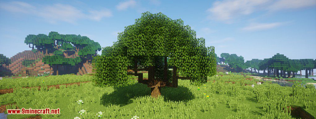 Dynamic Trees Mod (1.20.1, 1.19.2) - Change the Natural Growth of Trees 3