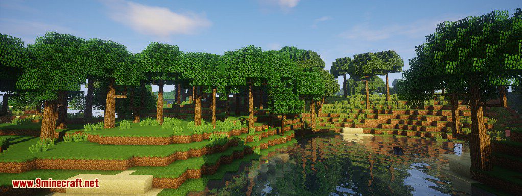 Dynamic Trees Mod (1.20.1, 1.19.2) - Change the Natural Growth of Trees 4