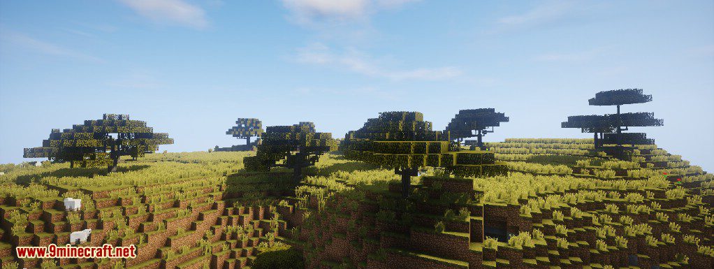 Dynamic Trees Mod (1.20.1, 1.19.2) - Change the Natural Growth of Trees 6