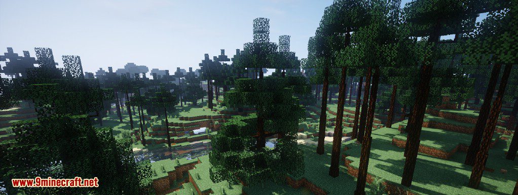 Dynamic Trees Mod (1.20.1, 1.19.2) - Change the Natural Growth of Trees 7