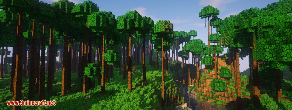 Dynamic Trees Mod (1.20.1, 1.19.2) - Change the Natural Growth of Trees 9