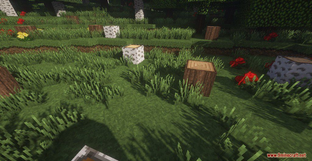 ExeCraft Resource Pack 1.12.2, 1.11.2 5