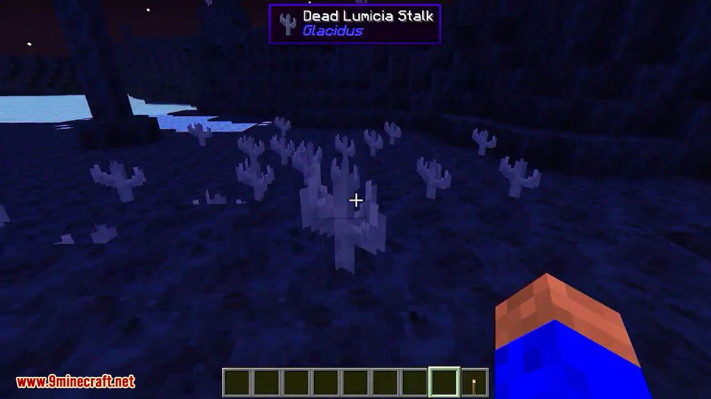 Glacidus Mod 1.12.2 (A Cold World with a Special Mystical Atmosphere) 12