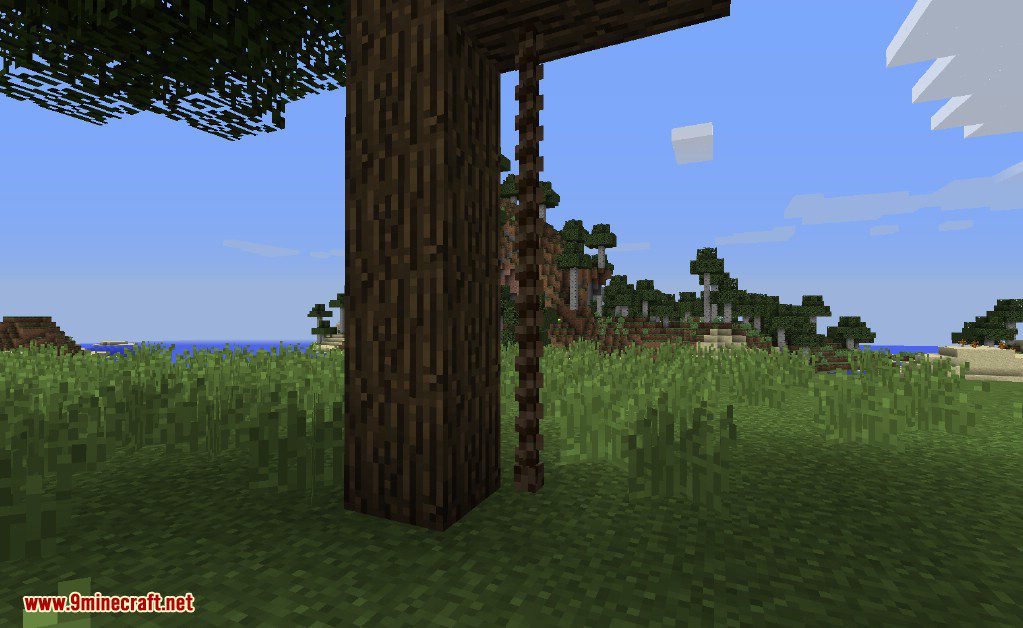Inspirations Mod 1.16.5, 1.15.2 (Various Small Features for Minecraft) 13