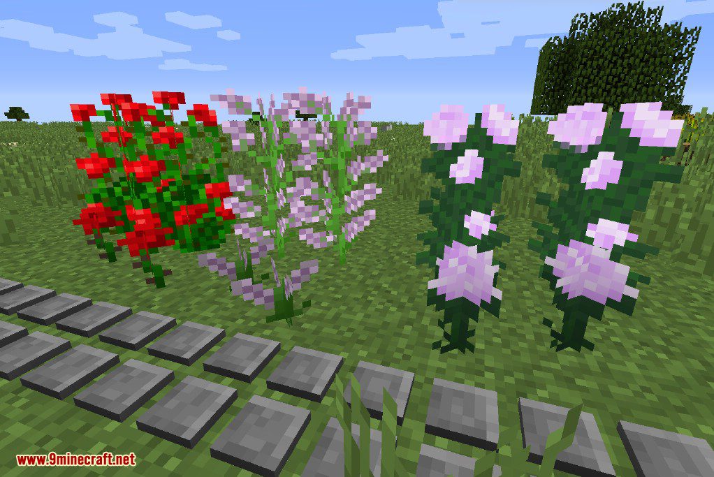 Inspirations Mod 1.16.5, 1.15.2 (Various Small Features for Minecraft) 16