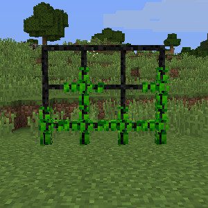 Rustic Mod 1.12.2, 1.11.2 (Medieval-Themed Features) 11