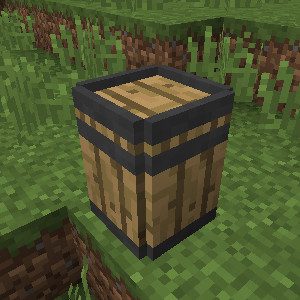 Rustic Mod 1.12.2, 1.11.2 (Medieval-Themed Features) 18