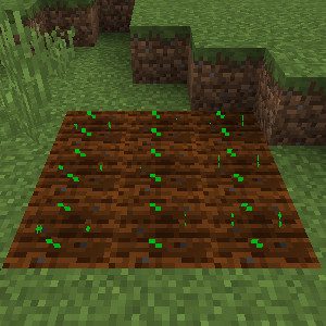 Rustic Mod 1.12.2, 1.11.2 (Medieval-Themed Features) 26